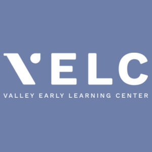 VELC - Heavyweight Color Blast Tee Design